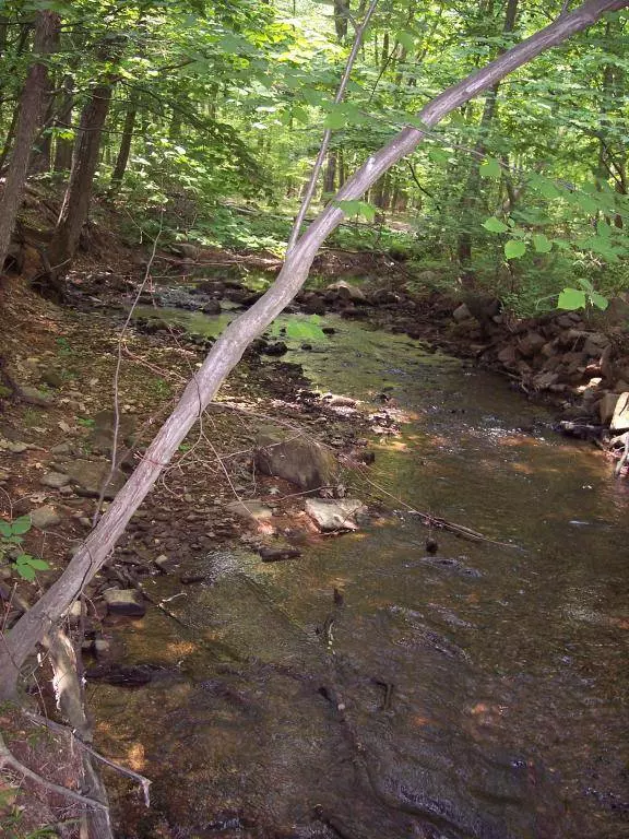 124 Nelson St, Clifton City, NJ 07013