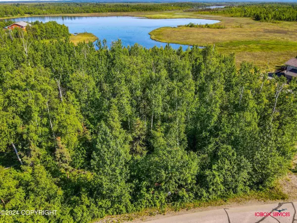 15675 W Loon Cove AVE, Big Lake, AK 99652