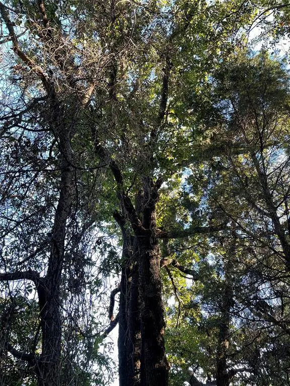 123 Still Water Street, Gun Barrel City, TX 75156