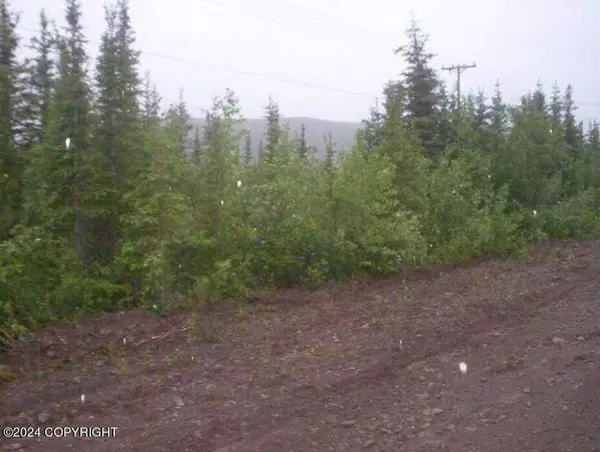 3 lots Nenana ST, Cantwell, AK 99729