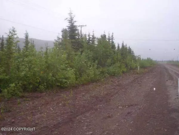 3 lots Nenana ST, Cantwell, AK 99729