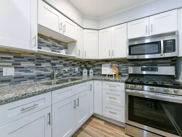 4624 N Commons Drive #301E, Chicago, IL 60656