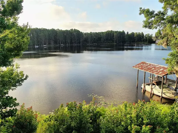 13826 WINDFALL LN, Odessa, FL 33556