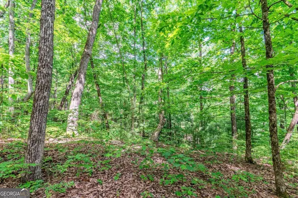 LOT 36 Abbott Mill RD #36, Ellijay, GA 30540