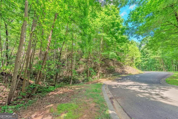 LOT 36 Abbott Mill RD #36, Ellijay, GA 30540