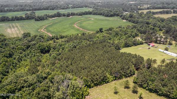 439 Dampeer Road, Canton, MS 39046