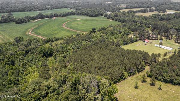 439 Dampeer Road, Canton, MS 39046