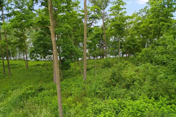 XXX 15 1/2 Ave, Almena, WI 54889