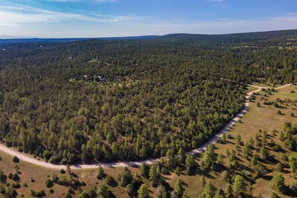 10 Young RD, Tijeras, NM 87059