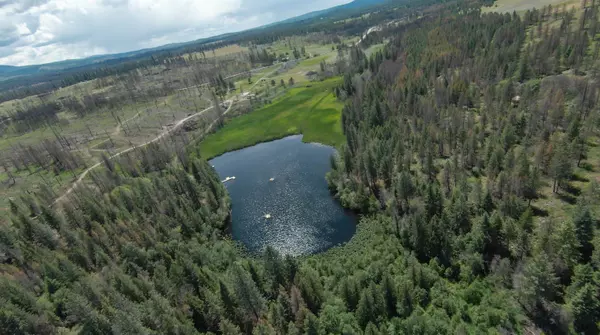 14117 E Frideger Rd, Elk, WA 99009