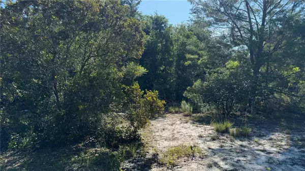 8045 NE 307TH AVE, Fort Mc Coy, FL 32134