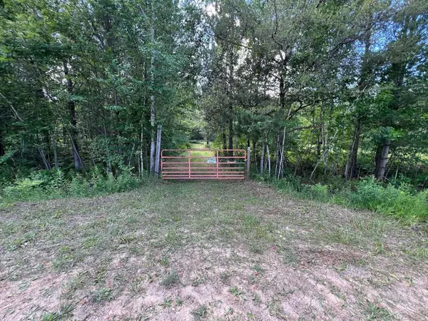 3201 Franklin Road, Alger, MI 48610