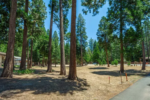 25961 Sylvan RD, Pioneer, CA 95666