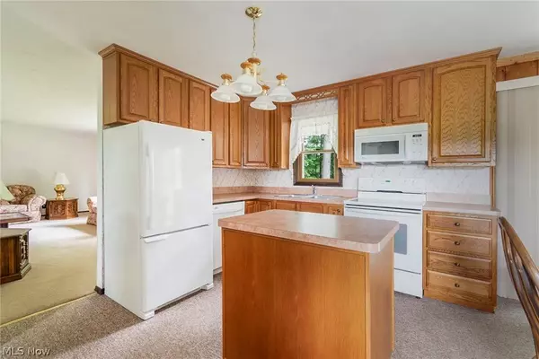 6221 NE Amy Boyle RD NE, Brookfield, OH 44403