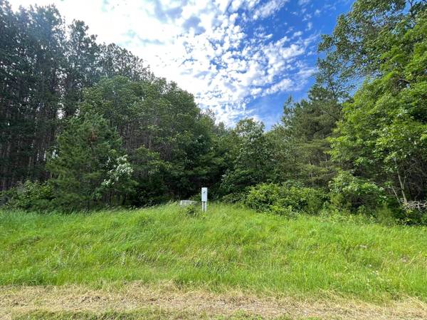 TBD Trefoil DR, Pine River Twp, MN 56435