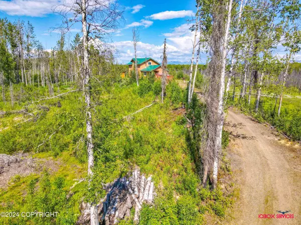 64223 S Parks HWY, Willow, AK 99688