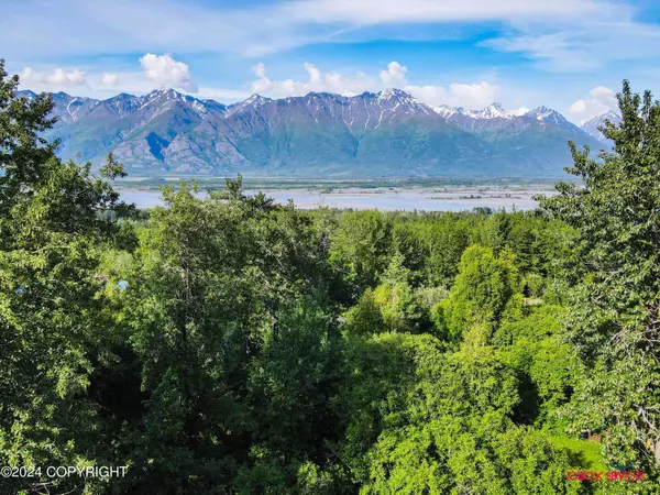 21642 E Midnight DR, Palmer, AK 99645