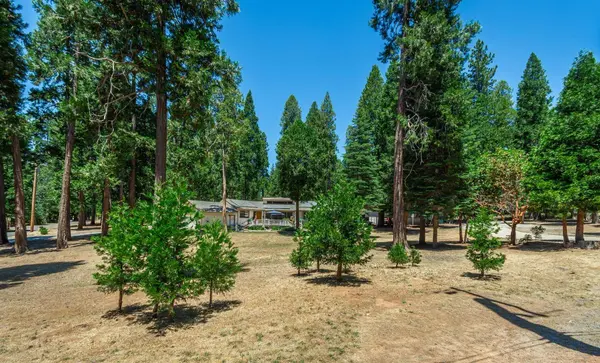 25961 Sylvan RD, Pioneer, CA 95666