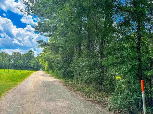 TBD CR 3802 (2.167 Acres), Bullard, TX 75757