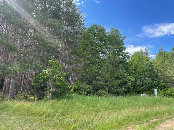 TBD Trefoil DR, Pine River Twp, MN 56435
