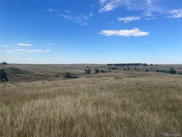 0 Wendling Lot 60 TRL, Kiowa, CO 80117