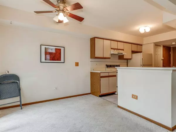 1119 N Knollwood Drive, Palatine, IL 60067