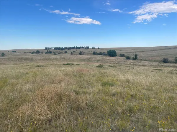 0 Wendling Lot 60 TRL, Kiowa, CO 80117
