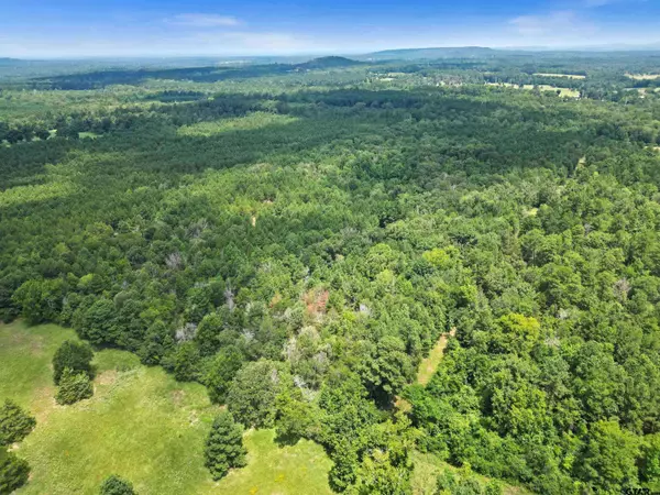 TBD (46 acres) CR 863, Cushing, TX 75760