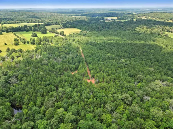 TBD (46 acres) CR 863, Cushing, TX 75760