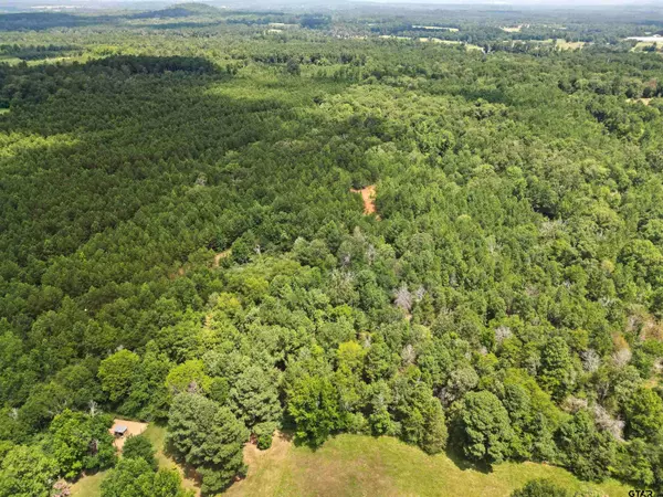 TBD (46 acres) CR 863, Cushing, TX 75760