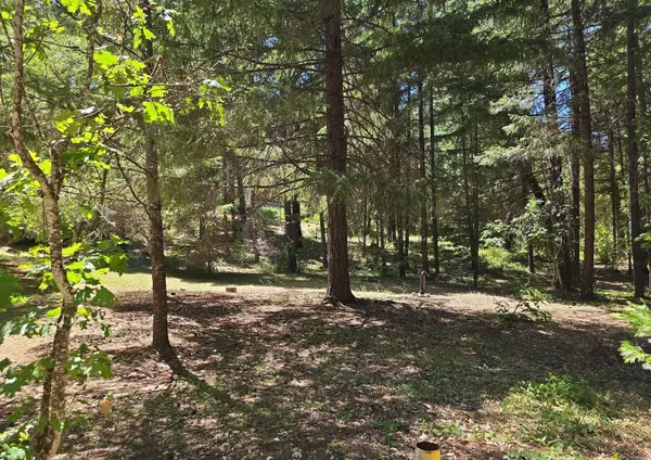 541 Lake Shore DR, Selma, OR 97538