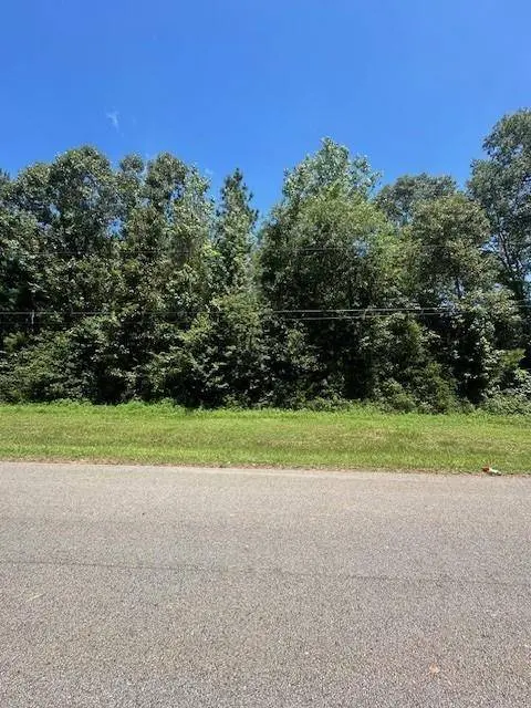 TBD Cherry Creek DR, Shepherd, TX 77371