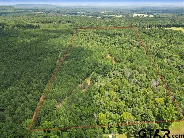 TBD (46 acres) CR 863, Cushing, TX 75760