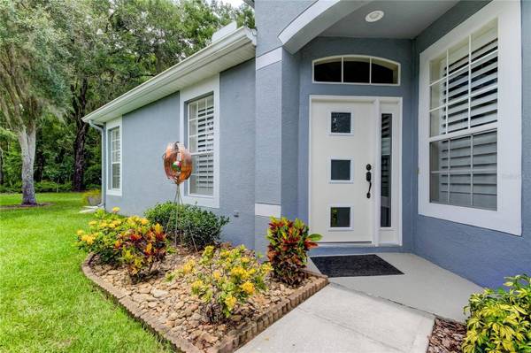 10810 ASHFORD OAKS DR, Tampa, FL 33625