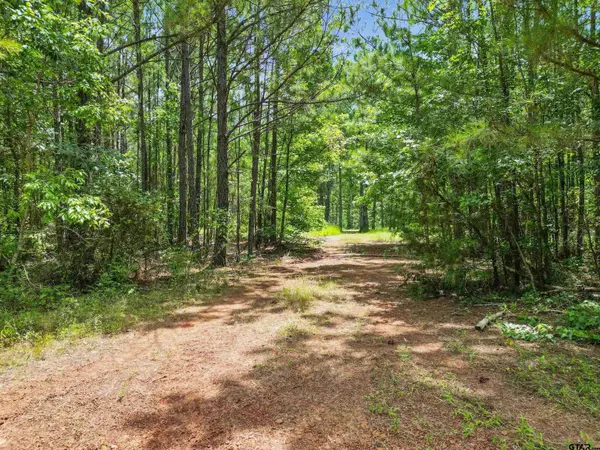 TBD (46 acres) CR 863, Cushing, TX 75760