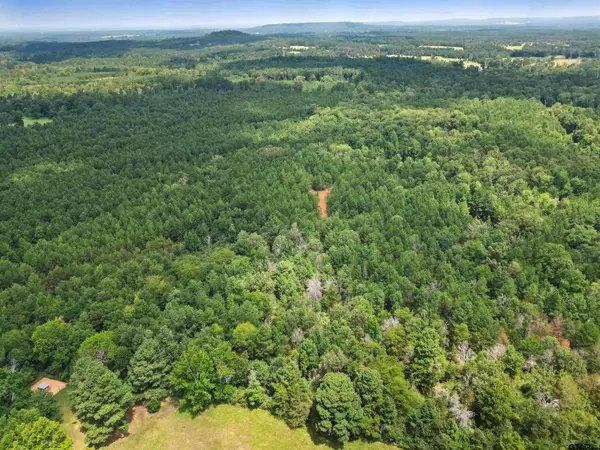 TBD (46 acres) CR 863, Cushing, TX 75760