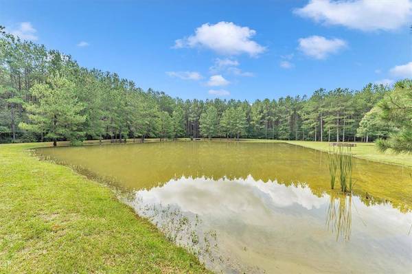 631 Ellisor RD, New Waverly, TX 77358