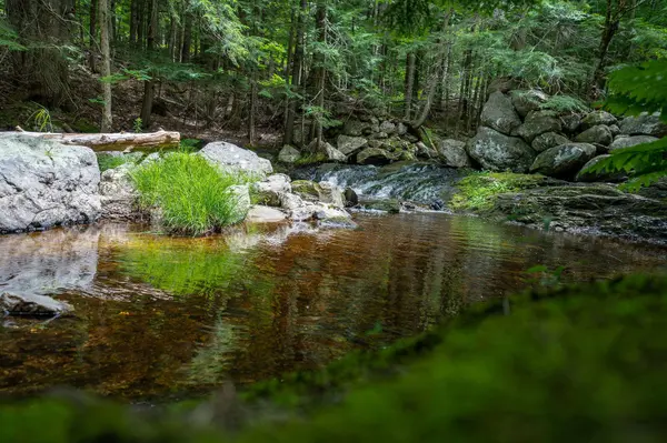 36 Reservoir RD, Paris, ME 04281