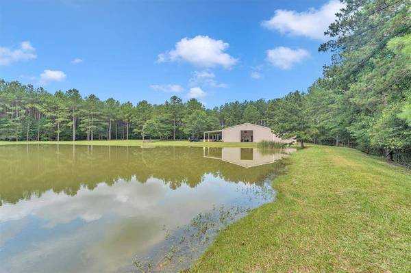 631 Ellisor RD, New Waverly, TX 77358