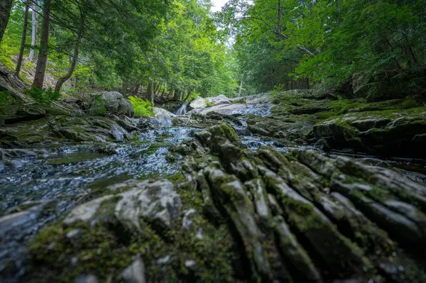 36 Reservoir RD, Paris, ME 04281