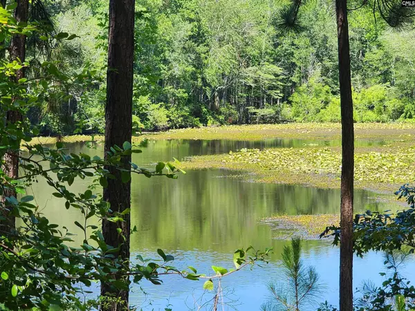 1984 Larry Jeffers Road, Elgin, SC 29045