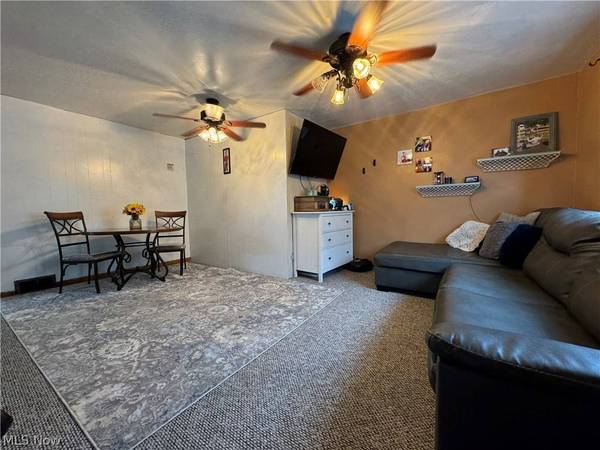 131 1st ST, Bridgeport, OH 43912