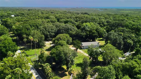 5995 JOHN ANDERSON HWY, Flagler Beach, FL 32136