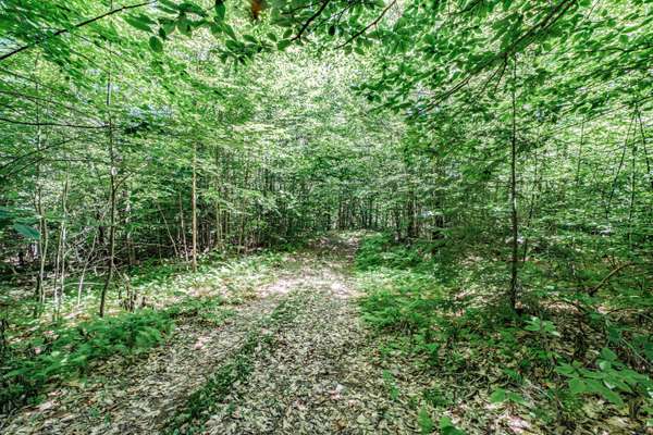 30 Beth Scholes LN, Greenwood, ME 04255