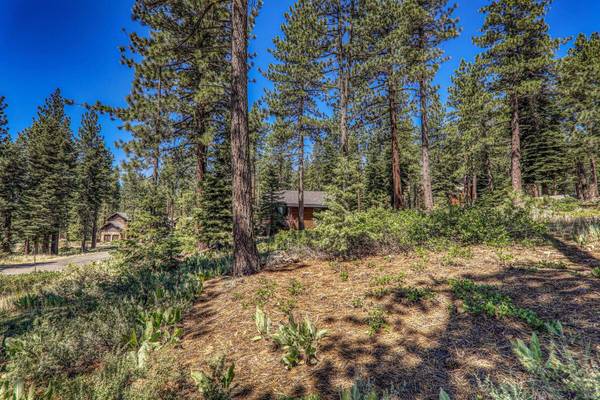 11976 Cavern Way, Truckee, CA 96161-0000