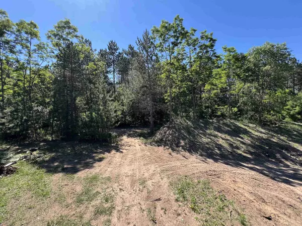 3041 Betsie River Road, Interlochen, MI 49643