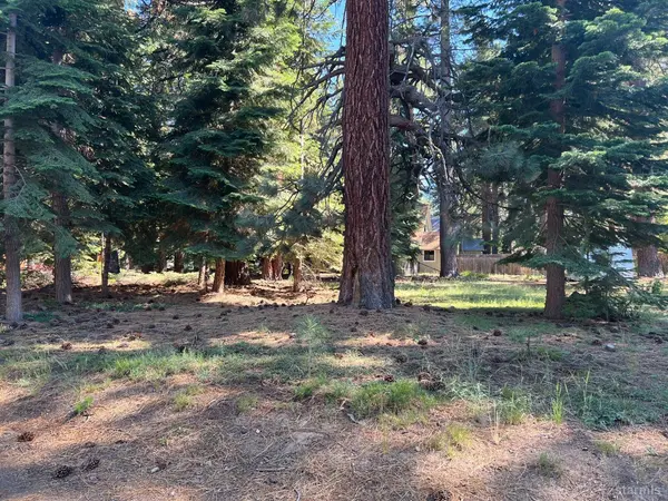 650 Tahoe Island Drive, South Lake Tahoe, CA 96150