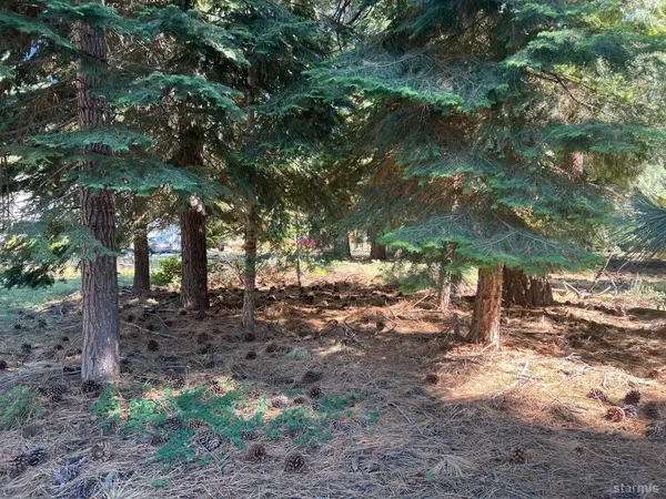 650 Tahoe Island Drive, South Lake Tahoe, CA 96150