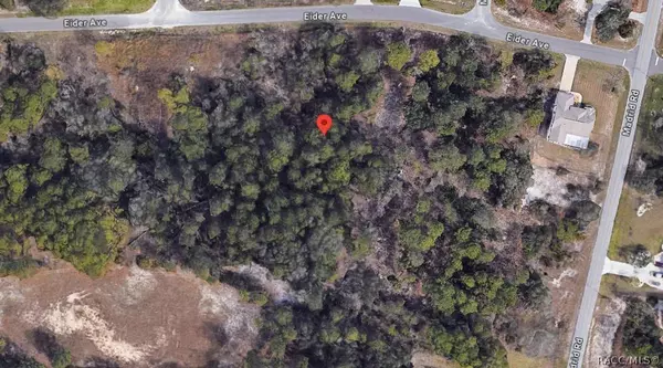 0 Eider AVE, Brooksville, FL 34613