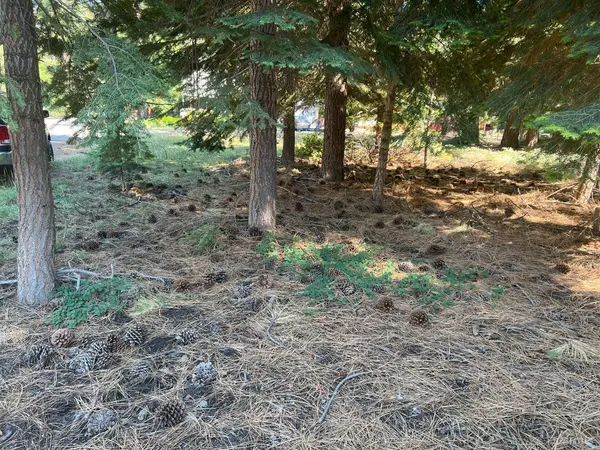 650 Tahoe Island Drive, South Lake Tahoe, CA 96150